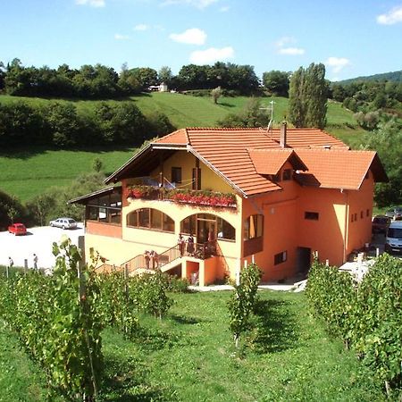 Klet Jana Bed & Breakfast Jastrebarsko Zewnętrze zdjęcie