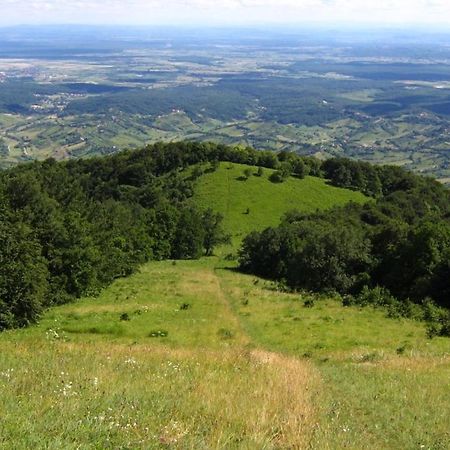 Klet Jana Bed & Breakfast Jastrebarsko Zewnętrze zdjęcie