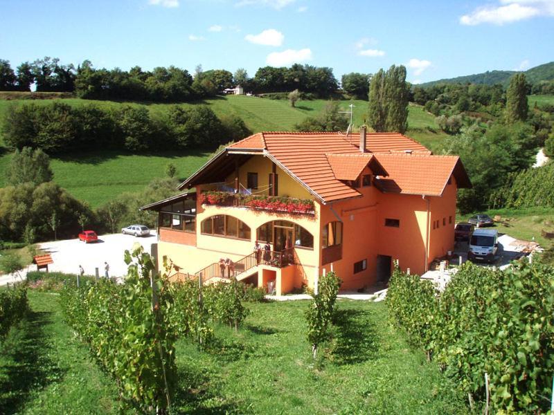Klet Jana Bed & Breakfast Jastrebarsko Zewnętrze zdjęcie
