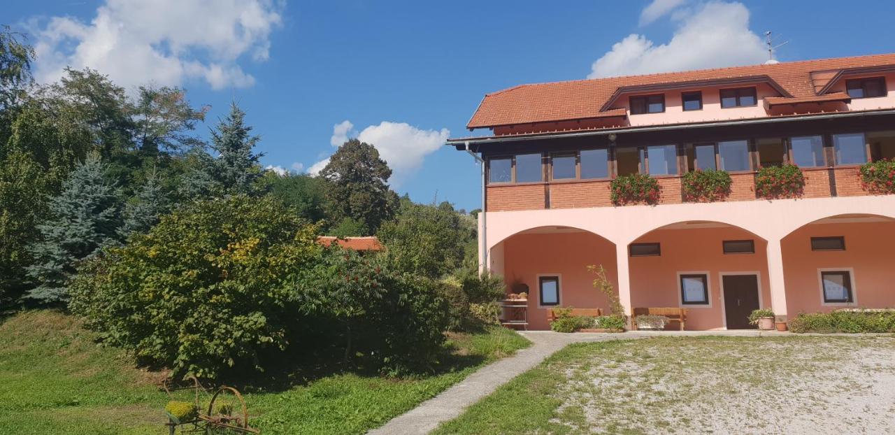 Klet Jana Bed & Breakfast Jastrebarsko Zewnętrze zdjęcie