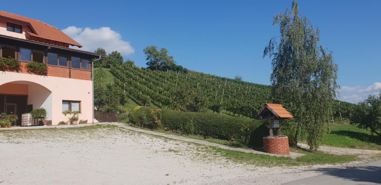 Klet Jana Bed & Breakfast Jastrebarsko Zewnętrze zdjęcie