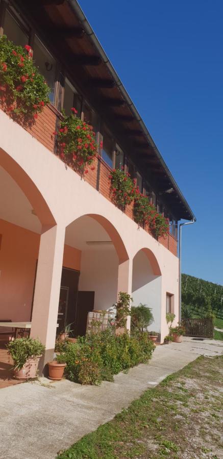 Klet Jana Bed & Breakfast Jastrebarsko Zewnętrze zdjęcie