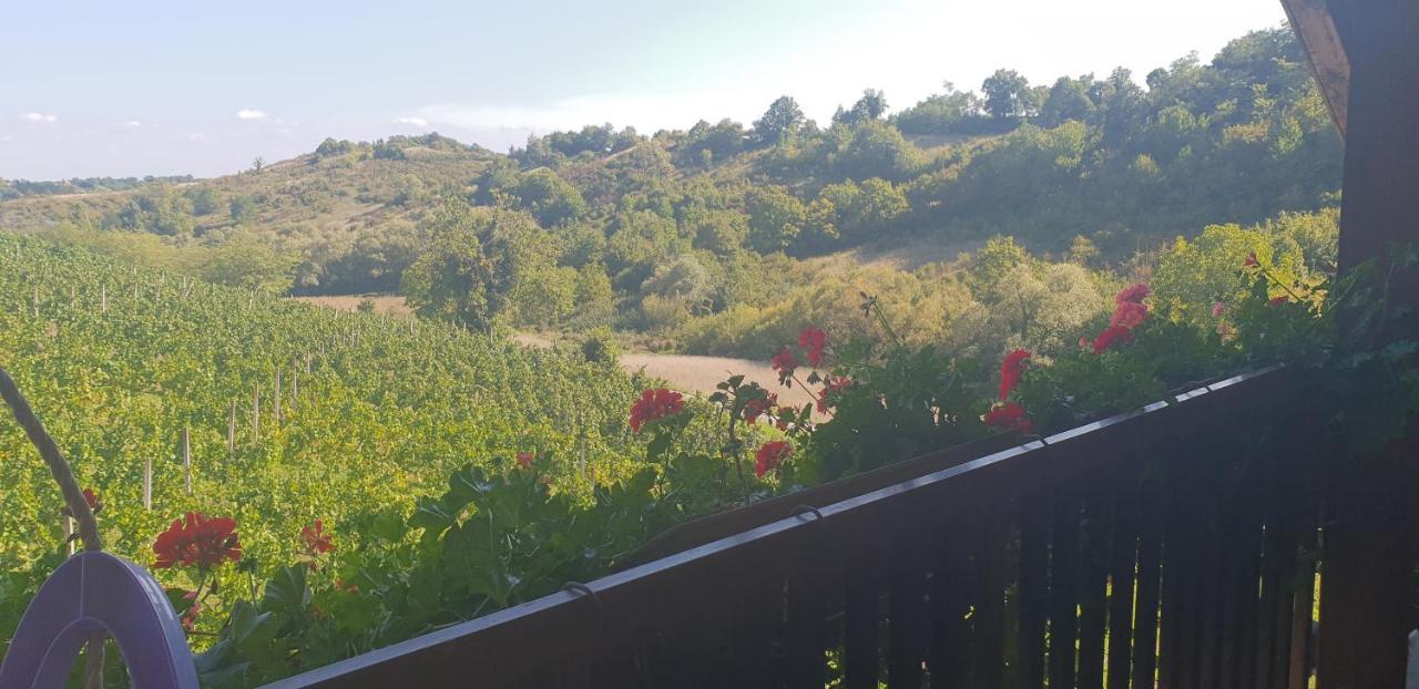 Klet Jana Bed & Breakfast Jastrebarsko Zewnętrze zdjęcie