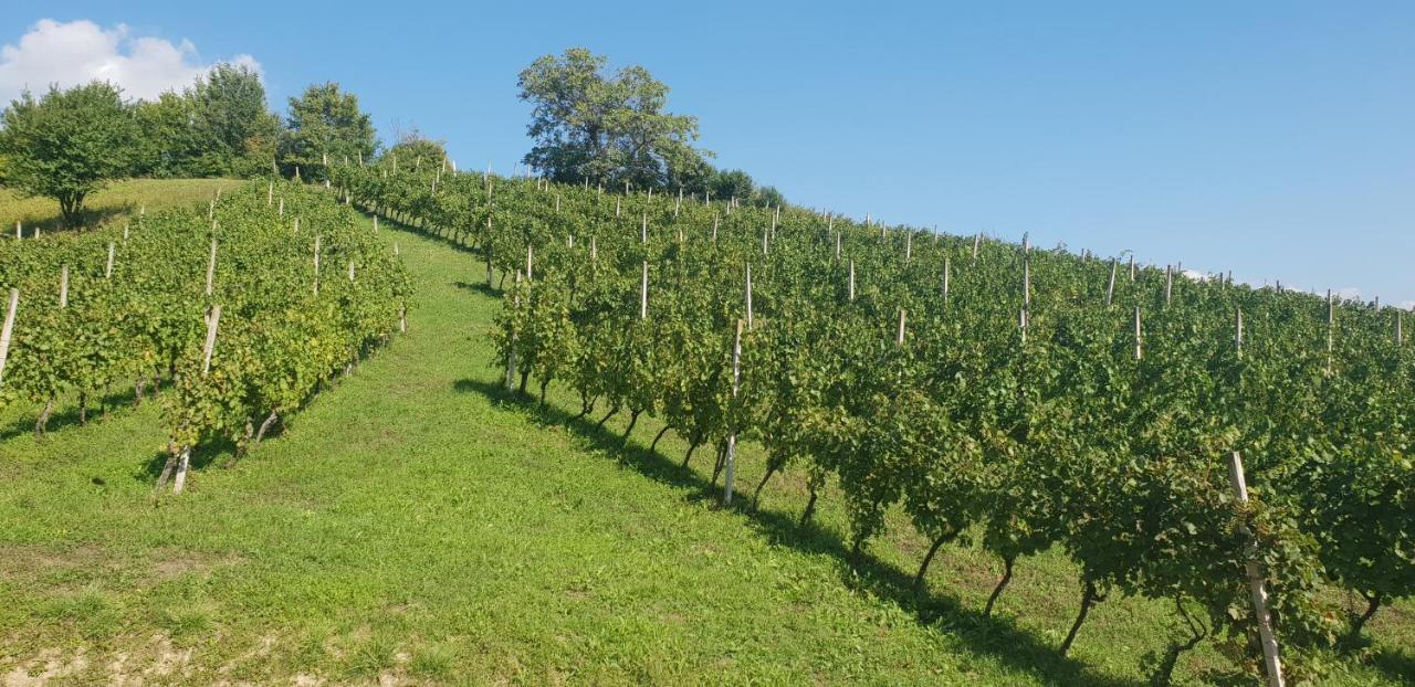 Klet Jana Bed & Breakfast Jastrebarsko Zewnętrze zdjęcie